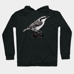 Eurasian nuthatch illustration Hoodie